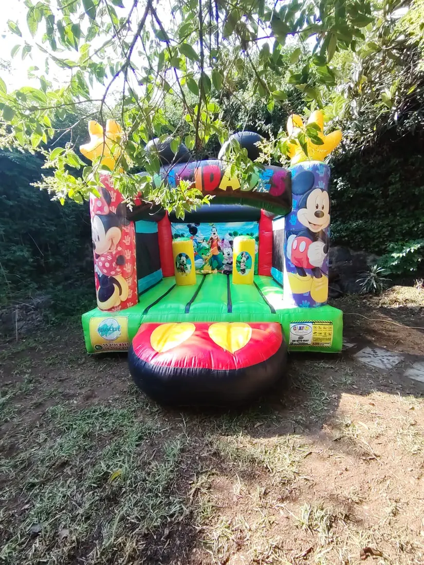 Inflable temático de Mickey Mouse